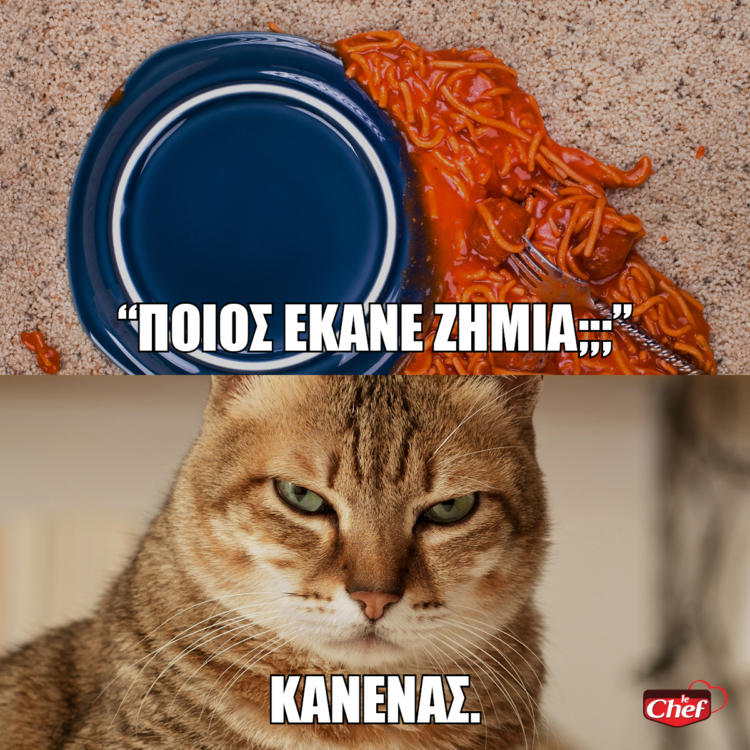 Tailor made memes για τις ζωοτροφές LE CHEF.
(2018)