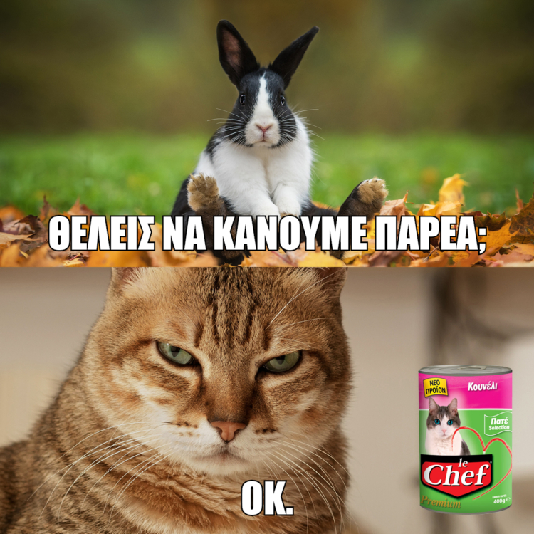 Tailor made memes για τις ζωοτροφές LE CHEF.
(2018)